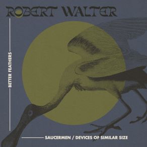 Download track Saucermen Robert WalterMike Gordon