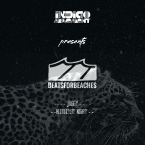 Download track Bloodclot Night (Original Mix) Beatsforbeaches