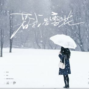 Download track 若我是雪花 云汐