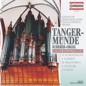 Download track 9. Michael Praetorius - O Lux Beata Trinitas Dietrich Kollmannsperger