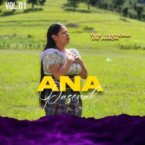 Download track Tus Cuerdas De Amor Ana Pascual