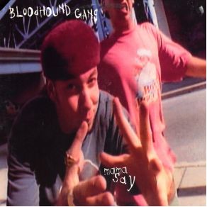 Download track Mama Say (I Didn'T Get Paid Shit For This Mix) Bloodhound Gang