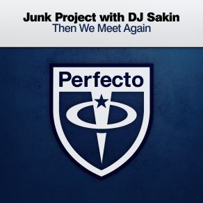 Download track Then We Meet Again (Extended Mix) Dj Sakin, Junk Project