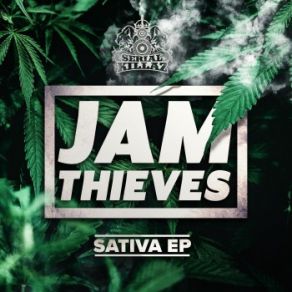 Download track Bizness Jam Thieves