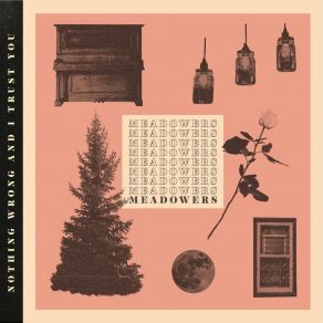 Download track Altitude Meadowers