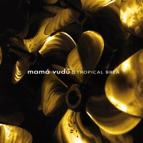 Download track Canción Para La Noche Mama Vudu