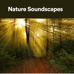 Download track Rich And Vibrant Sound Of Nature Library