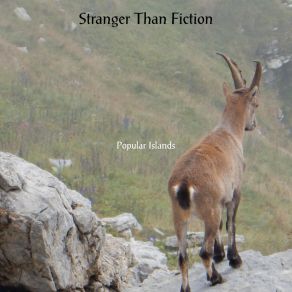 Download track Stranger Than Fiction Popular Islands