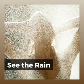 Download track Raindrops In NYC Rain Sounds