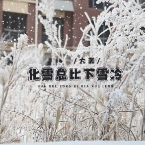 Download track 化雪总比下雪冷 (伴奏) 大美