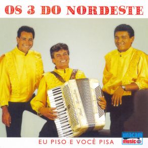 Download track Vem Cair No Forró Os 3 Do Nordeste