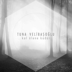 Download track Kırgın Çiçekler Tuna Velibaşoğlu