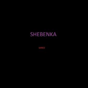 Download track Dsel Shebenka