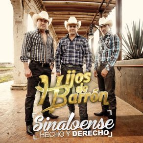Download track Sinaloense Hecho Y Derecho (Banda) Hijos De Barron