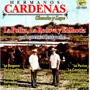 Download track Los Camaleones Los Hermanos Cardenas