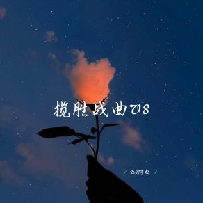 Download track 感觉至上V8 (揽胜版) DJ阿杜