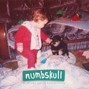 Download track The Things You've Been Missing Numbskull