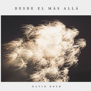 Download track Te Sueño, Pero No Te Veo David Rosh