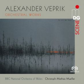 Download track Two Symphonic Songs For Orchestra, Op. 20: No. 1, Song Of Mourning Christoph-Mathias Mueller, BBC Symphony Orchestra Wales