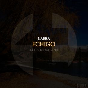 Download track Echigo (Sunflare Remix) Naeba