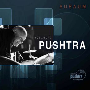 Download track Auraum Roland's PUSHTRA