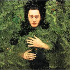 Download track Mes Prisons Alain Bashung