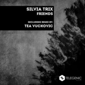 Download track Friends (Original Mix) Silvia Trix