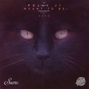 Download track Meant To Be (Coyu Remix) Polli JiCoyu