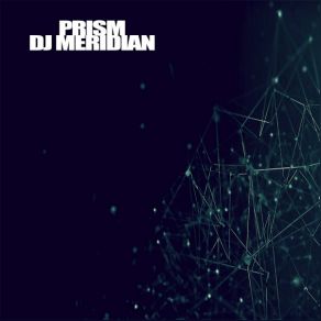 Download track Feelings DJ Meridian