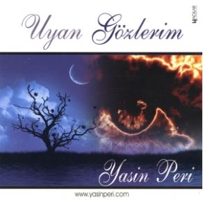 Download track Tek Çarem Yasin Peri