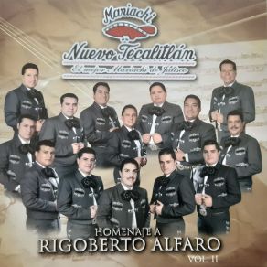 Download track Ese Señor De Las Canas Mariachi Nuevo Tecalitlan