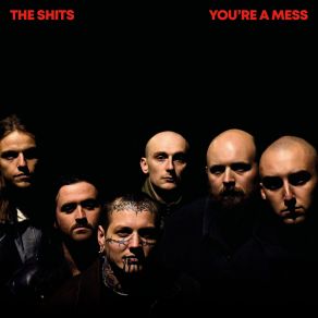 Download track You're A Mess The Shits