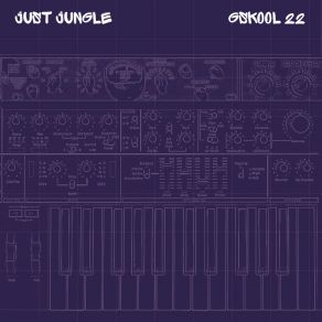 Download track The Lock Just Jungle