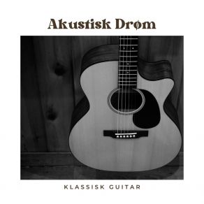 Download track Blid Guitar Klassisk Guitar