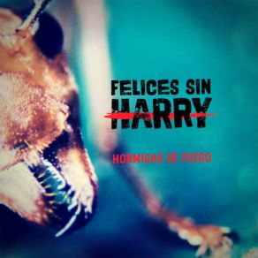 Download track Aprendiendo A Vivir Felices Sin Harry