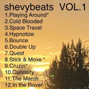 Download track Stick & Move Shevy