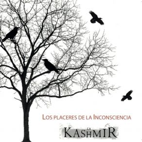 Download track El Rincón De Mis Dudas La Kashmir