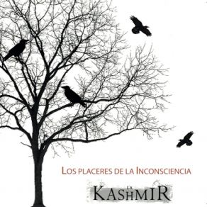 Download track Al Final La Kashmir