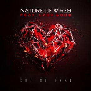 Download track Cut Me Open Nature Of Wires, Sarah B Lady Bnow