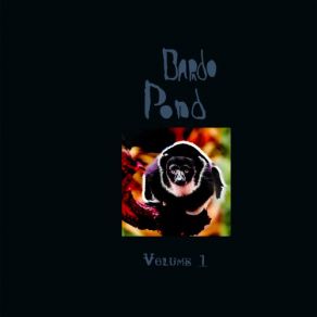 Download track Cymbals Bardo Pond