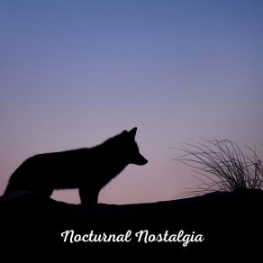 Download track Nocturnal Reverie Solstice Serenova