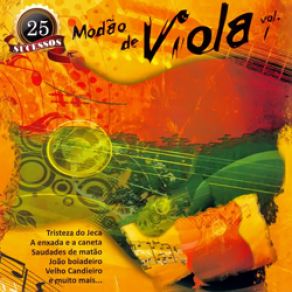 Download track Vida De Lavrador Modão De Viola