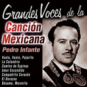 Download track Camino De Espinas Pedro Infante