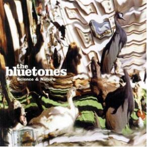 Download track The Basement Song The Bluetones