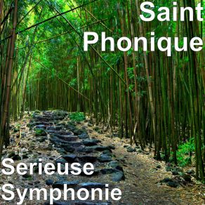 Download track Sympho Nie Saint Phonique