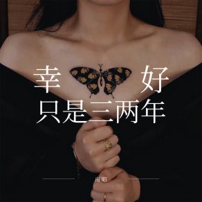 Download track 幸好只是三两年 (伴奏) 南昭