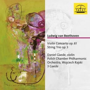 Download track Violin Concerto In D Major, Op. 61: III. Rondo Daniel Gaede