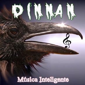 Download track Música Inteligente (Versão Radio) DINNAN