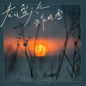 Download track 春风留不住要化的雪 (伴奏) 格雷西西西