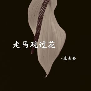 Download track 走马观过花 苏辰念